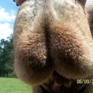 Meet your Posher, Tracy